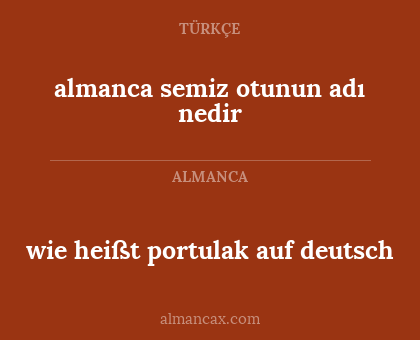 almanca semiz otunun adı nedir - wie heißt portulak auf deutsch