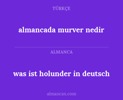 almancada murver nedir - was ist holunder in deutsch