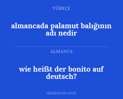 almancada palamut balığının adı nedir - wie heißt der bonito auf deutsch?