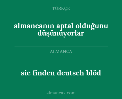 sie finden deutsch blöd - almancanın aptal olduğunu düşünüyorlar
