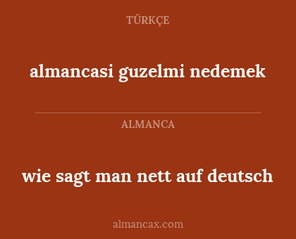 almancasi guzelmi 
nedemek - wie sagt man nett auf deutsch