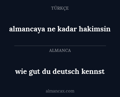 almancaya ne kadar hakimsin - wie gut du deutsch kennst
