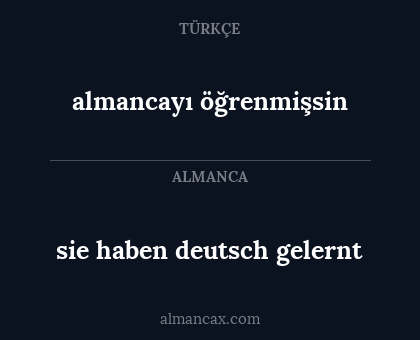 almancayı öğrenmişsin - sie haben deutsch gelernt