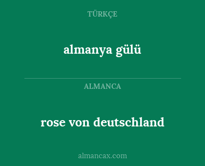 rose von deutschland - almanya gülü
