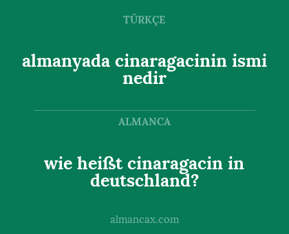 wie heißt cinaragacin in deutschland? - almanyada cinaragacinin ismi nedir