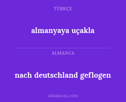 almanyaya uçakla - nach deutschland geflogen