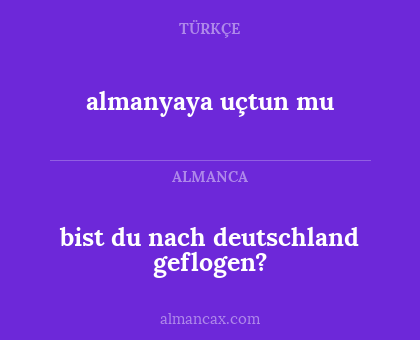 bist du nach deutschland geflogen? - almanyaya uçtun mu