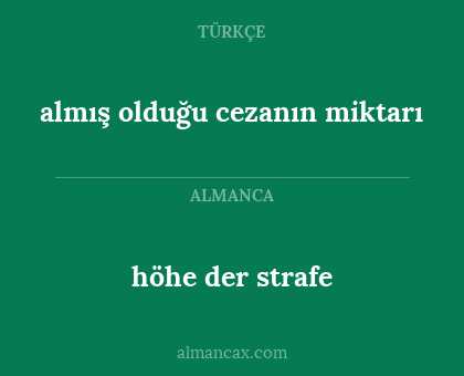 höhe der strafe - almış olduğu cezanın miktarı