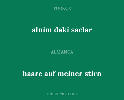 haare auf meiner stirn - alnim daki saclar