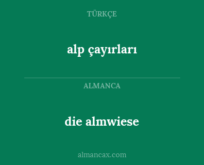 die almwiese - alp çayırları