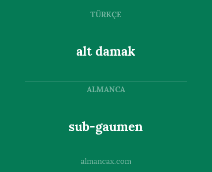 sub-gaumen - alt damak