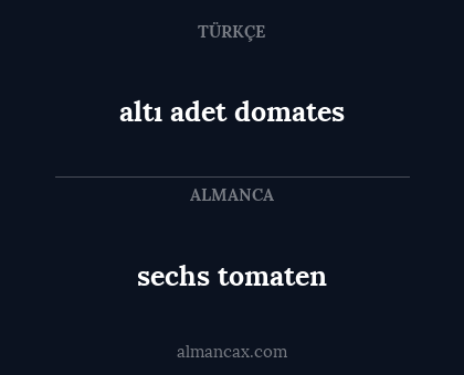 sechs tomaten - altı adet domates