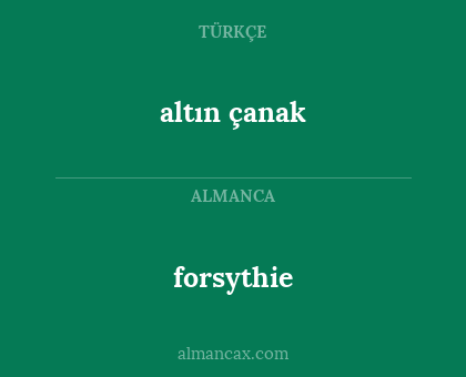 forsythie - altın çanak