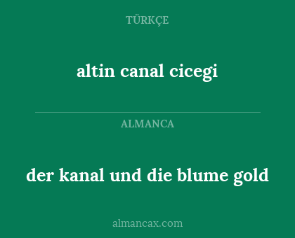altin canal cicegi - der kanal und die blume gold