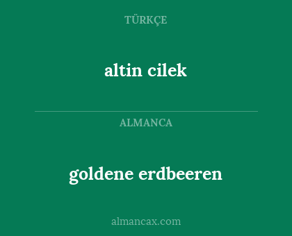 goldene erdbeeren - altin cilek