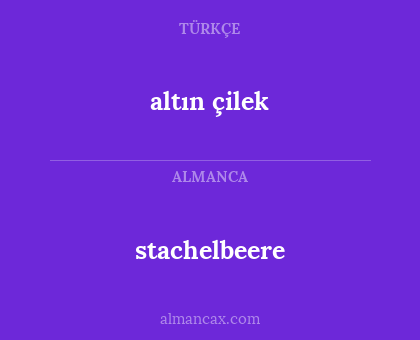 altın çilek - stachelbeere