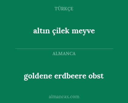 goldene erdbeere obst - altın çilek meyve