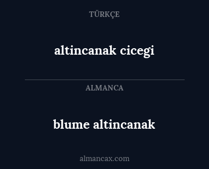 blume altincanak - altincanak cicegi