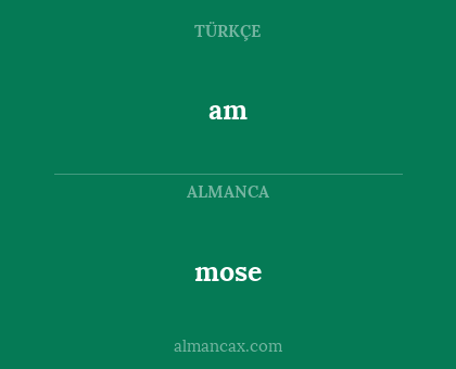 am - mose