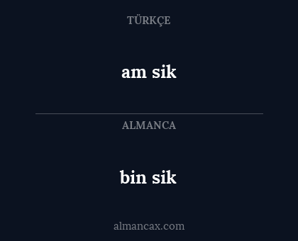 bin sik - am sik