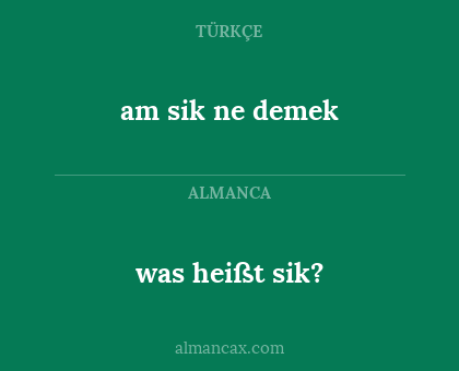 am sik ne demek - was heißt sik?