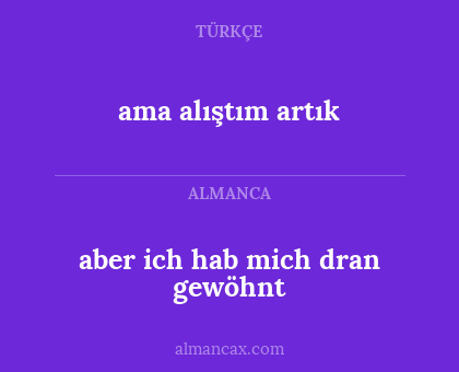 aber ich hab mich dran gewöhnt - ama alıştım artık