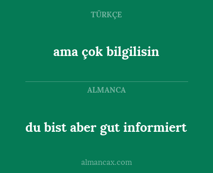ama çok bilgilisin - du bist aber gut informiert