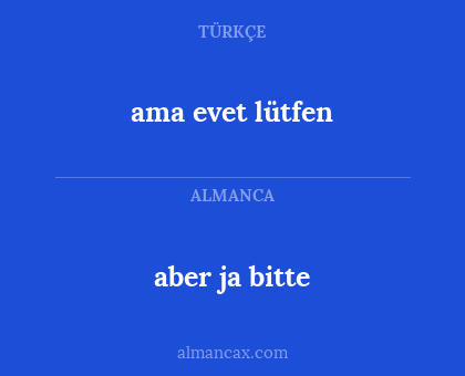 aber ja bitte - ama evet lütfen