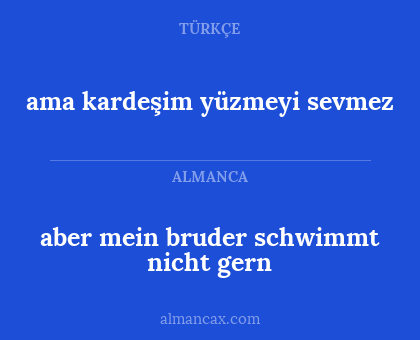 aber mein bruder schwimmt nicht gern - ama kardeşim yüzmeyi sevmez