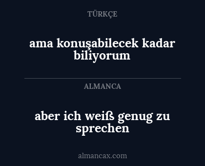 aber ich weiß genug zu sprechen - ama konuşabilecek kadar biliyorum
