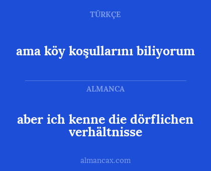 aber ich kenne die dörflichen verhältnisse - ama köy koşullarını biliyorum
