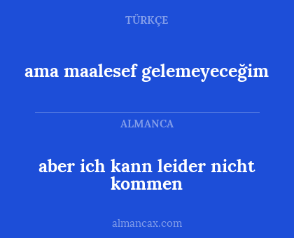 aber ich kann leider nicht kommen - ama maalesef gelemeyeceğim
