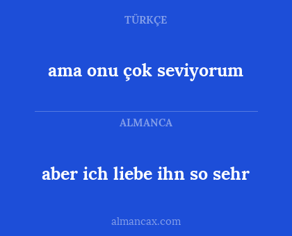 aber ich liebe ihn so sehr - ama onu çok seviyorum