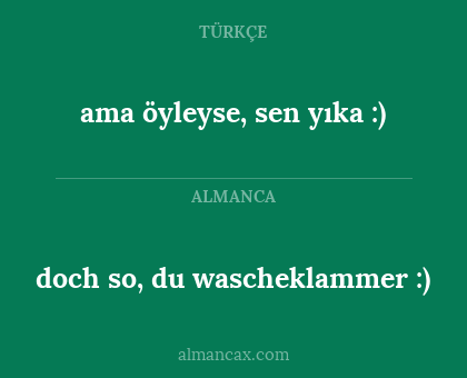 ama öyleyse, sen yıka :) - doch so, du wascheklammer :)