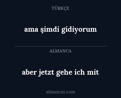 ama şimdi gidiyorum - aber jetzt gehe ich mit
