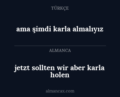 ama şimdi karla almalıyız - jetzt sollten wir aber karla holen