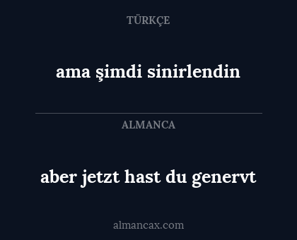 ama şimdi sinirlendin - aber jetzt hast du genervt