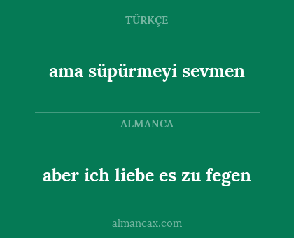 aber ich liebe es zu fegen - ama süpürmeyi sevmen