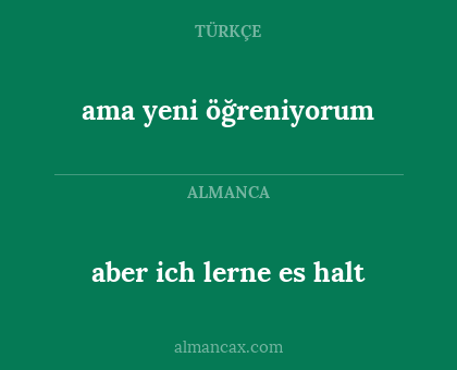 ama yeni öğreniyorum - aber ich lerne es halt