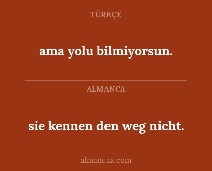ama yolu bilmiyorsun. - sie kennen den weg nicht.