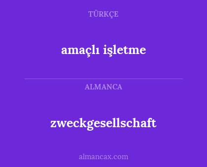 zweckgesellschaft - amaçlı işletme