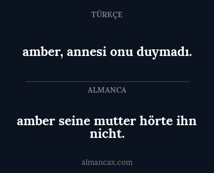 amber seine mutter hörte ihn nicht. - amber, annesi onu duymadı.