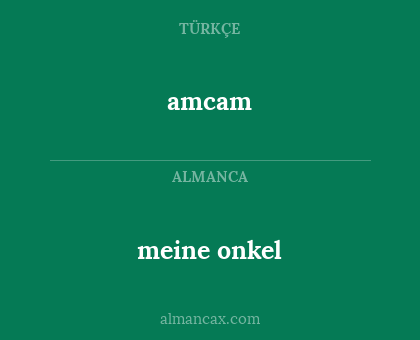 amcam - meine onkel