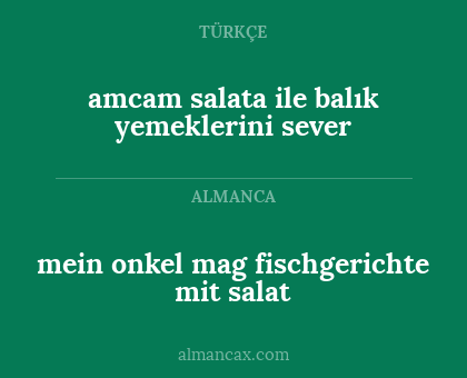 amcam salata ile balık yemeklerini sever - mein onkel mag fischgerichte mit salat