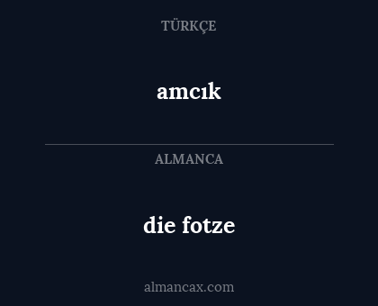amcık - die fotze