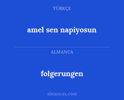 folgerungen - amel sen napiyosun