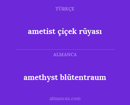 amethyst blütentraum - ametist çiçek rüyası