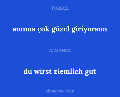 amıma çok güzel giriyorsun - du wirst ziemlich gut