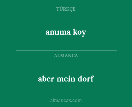 amıma koy - aber mein dorf