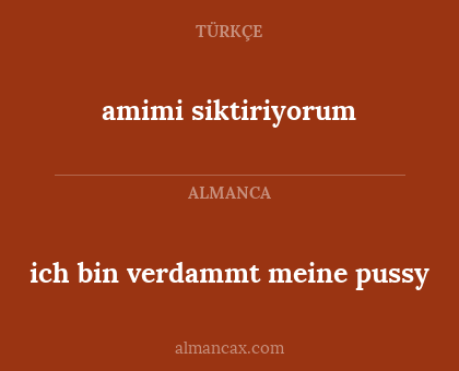 amimi siktiriyorum - ich bin verdammt meine pussy